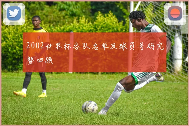 2002世界杯各队名单及球员号码完整回顾