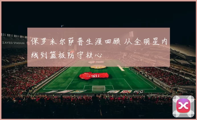 保罗米尔萨普生涯回顾 从全明星内线到篮板防守核心
